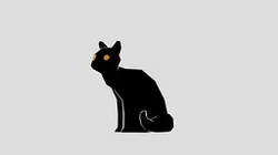 Cat listening to classical music