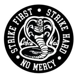 COBRA KAI KARATE KID