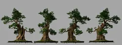Big tree