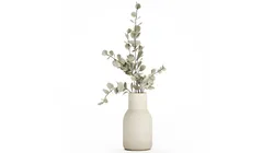 Bouquet Of Dried Flowers From Branches Eucalyptus 528