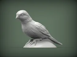 Canary 3D Print Model in Sculpture 564871