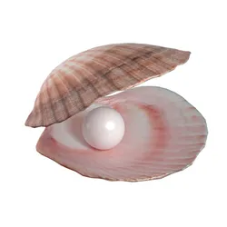 Conch shell pearl