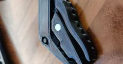 Dino-Clip with Hole for Magnet