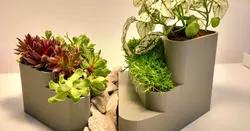 Mini Rock Garden