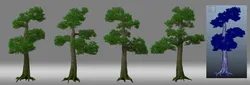 Pine tree