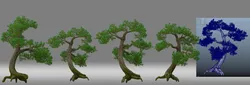 Pine tree