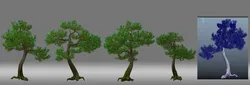 Pine tree
