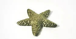 Pyrite Starfish