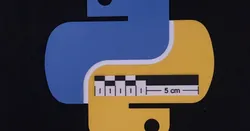 Python Logo 2D
