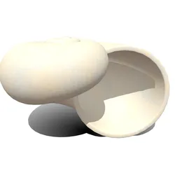 Shell