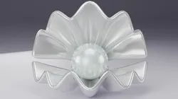 Shell and Pearl