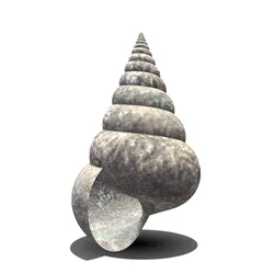 Shell