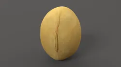 Soybean yellow bean