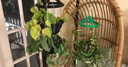 Stackable Hanging Trellis Planter