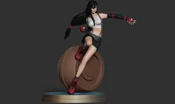 Tifa Lockhart Ready To Print 3D Print Model in Woman 565528