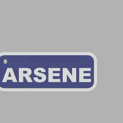 two-tone rectangular key ring - ARSENE