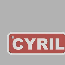 two-tone rectangular key ring - CYRIL