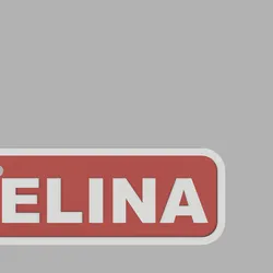 two-tone rectangular key ring - ELINA