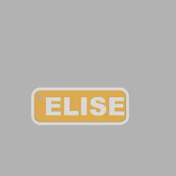 two-tone rectangular key ring - ELISE