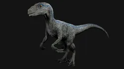 Velociraptor Blue - Animated and Rigged