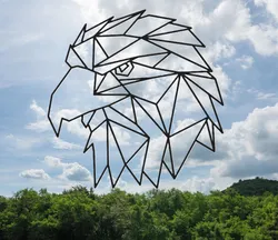 EAGLE wallart