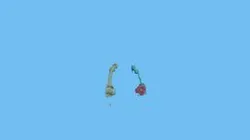 Femurs + Implant