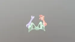 Segmentation_1
