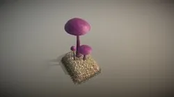 Amethyst Deceiver Mushrooms