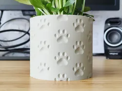 Animal Paw Pattern Plant pot and Planter - Vase mode design