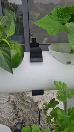 Modular stackable hydroponic trellis