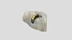 ripe banana