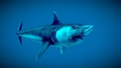Buzzsaw Shark (Helicoprion davisii)