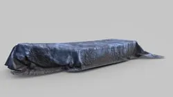 Covered boat low-poly
