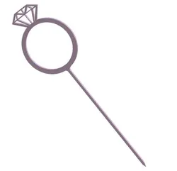 Engagement Ring Toothpick