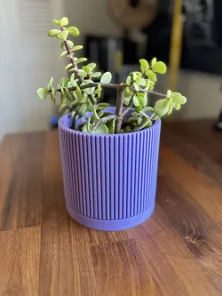 Mid Century Modern Plant Pot with Drip Tray  - Linear Grooves