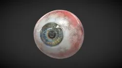 My model of eye