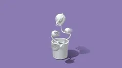 Venus_Fly_Trap
