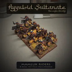 Ayyubid Sultanate - Mamluks riders