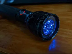 D4Sv2 Maglite Mod
