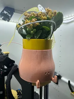 Happy Planter // Flower Pod