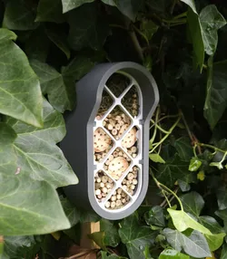 Insect city: Urban Insect Outpost