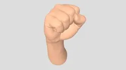 fist human hand