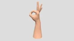 hand ok gesture