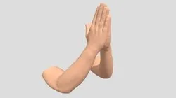 hands clasped praying