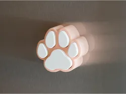 Magnetic Paw Box