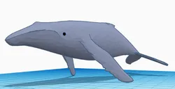 Whale