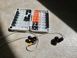 IEM Tip Case