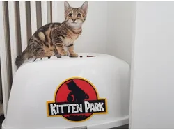 Kitten Park