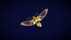 Narrow Bordered Bee Hawk Moth