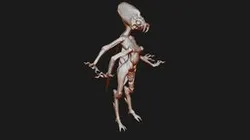 Buggums_No_Symmetry